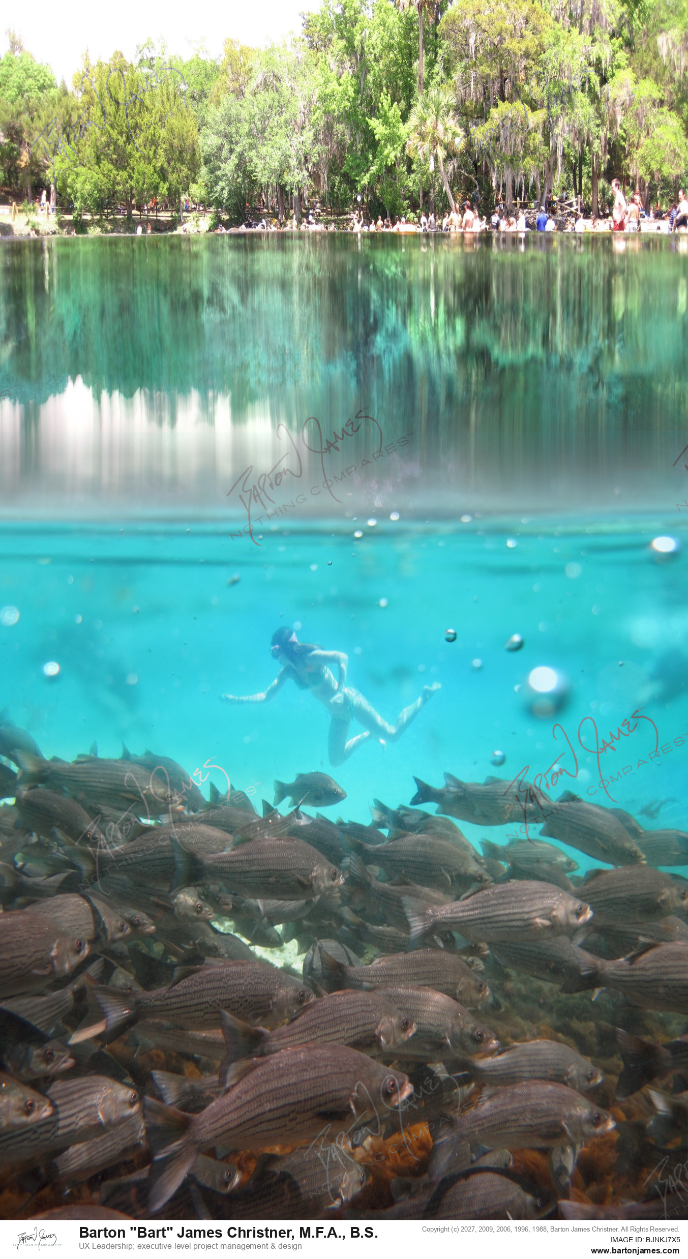 20110424 AQUATIC Silver panoramic PHOTO