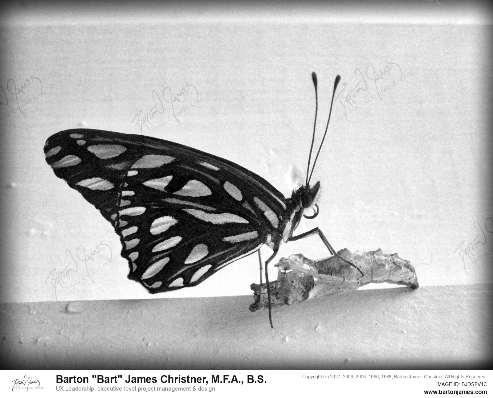 20030201 G0Px Monarch Newbie DSC01009 PHOTO