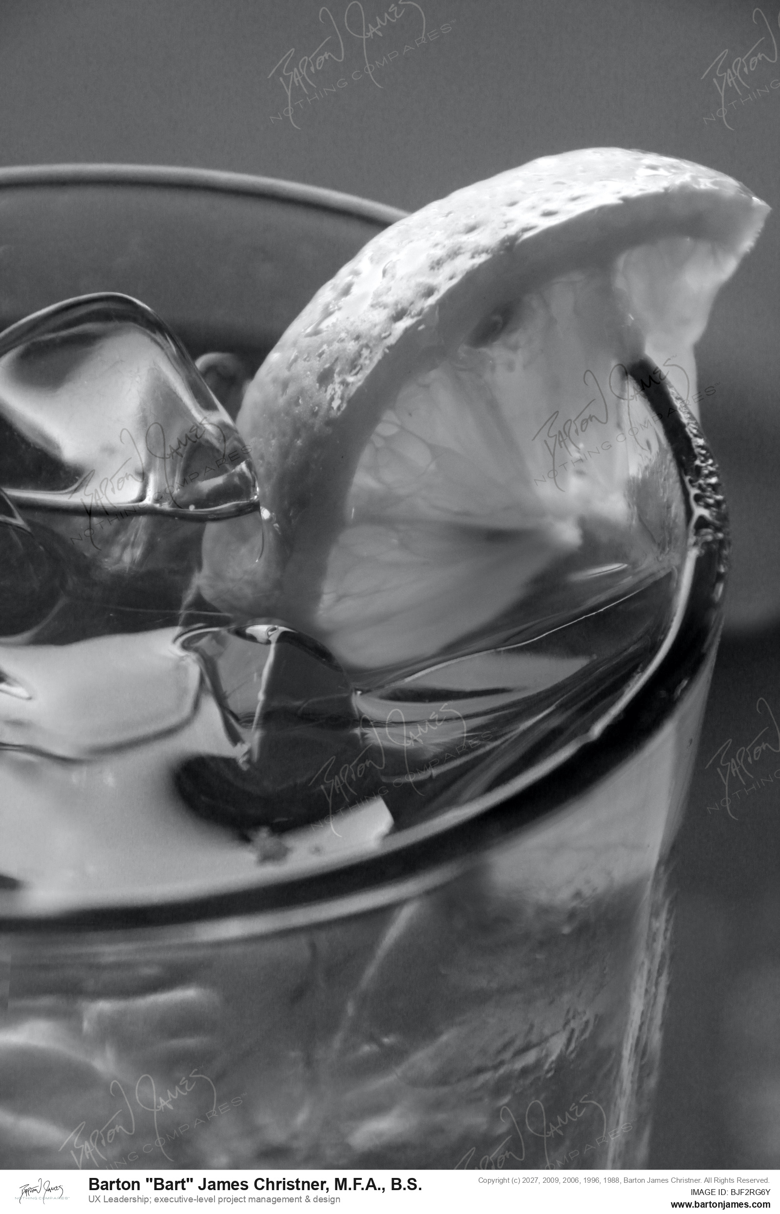 20100522 EVENT New Smyrna Riverview Lemon In Water Glass IMG9914bw PHOTO