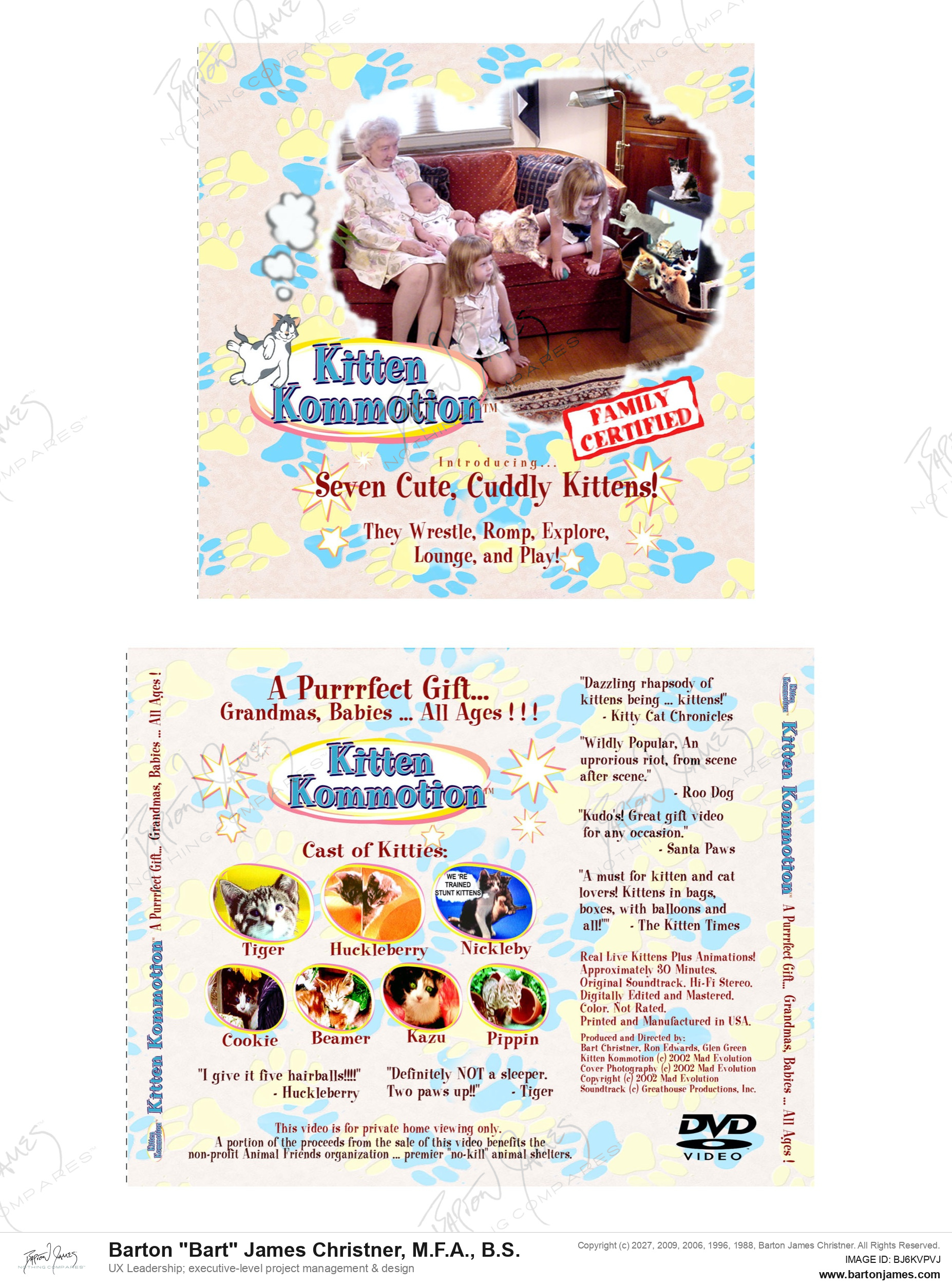 20011115 GREEN Kitten Jewel Insert PACKAGING PHOTO