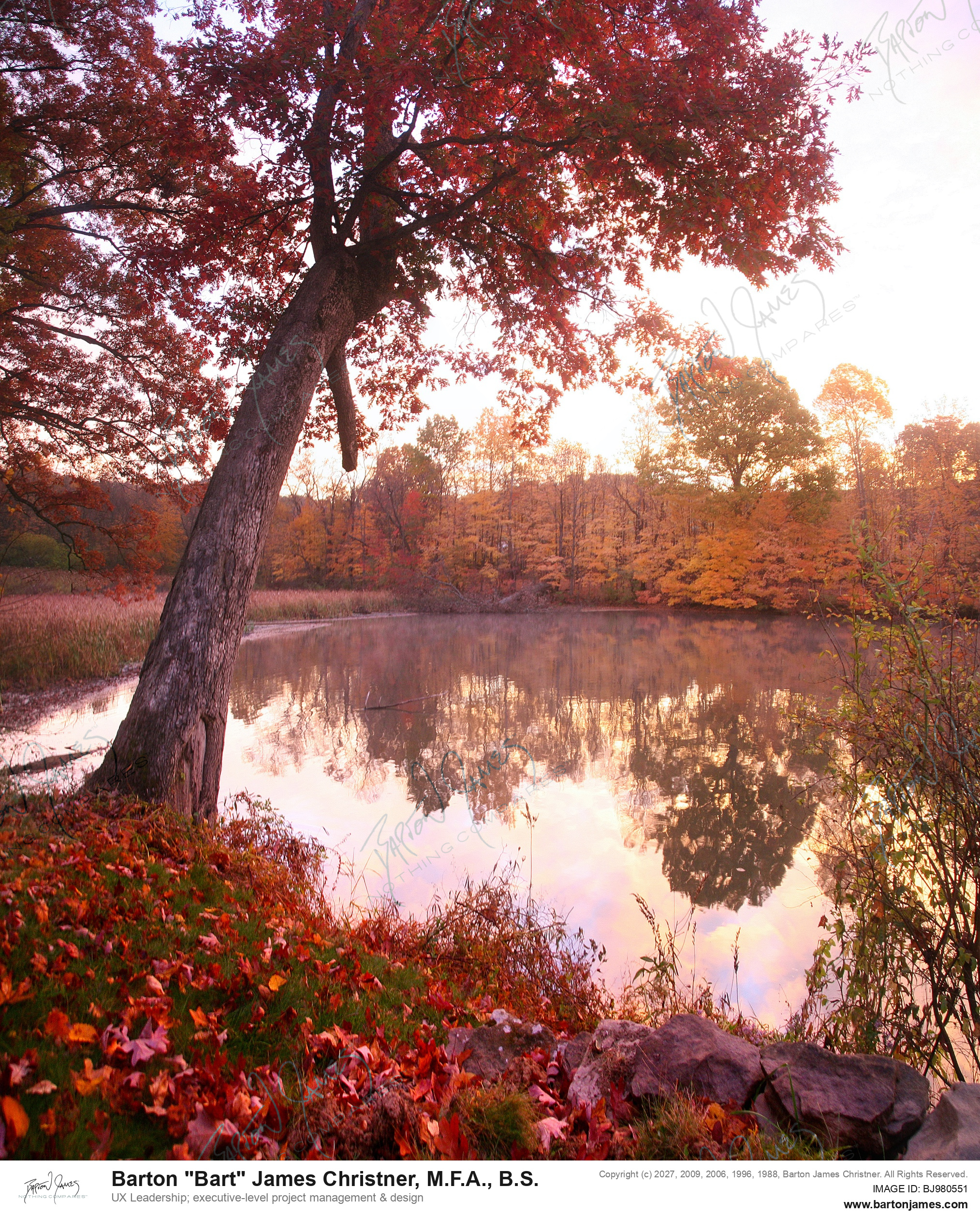 20121019 LANDSCAPE CDARed Morning Dam From Deck panoramic PHOTO