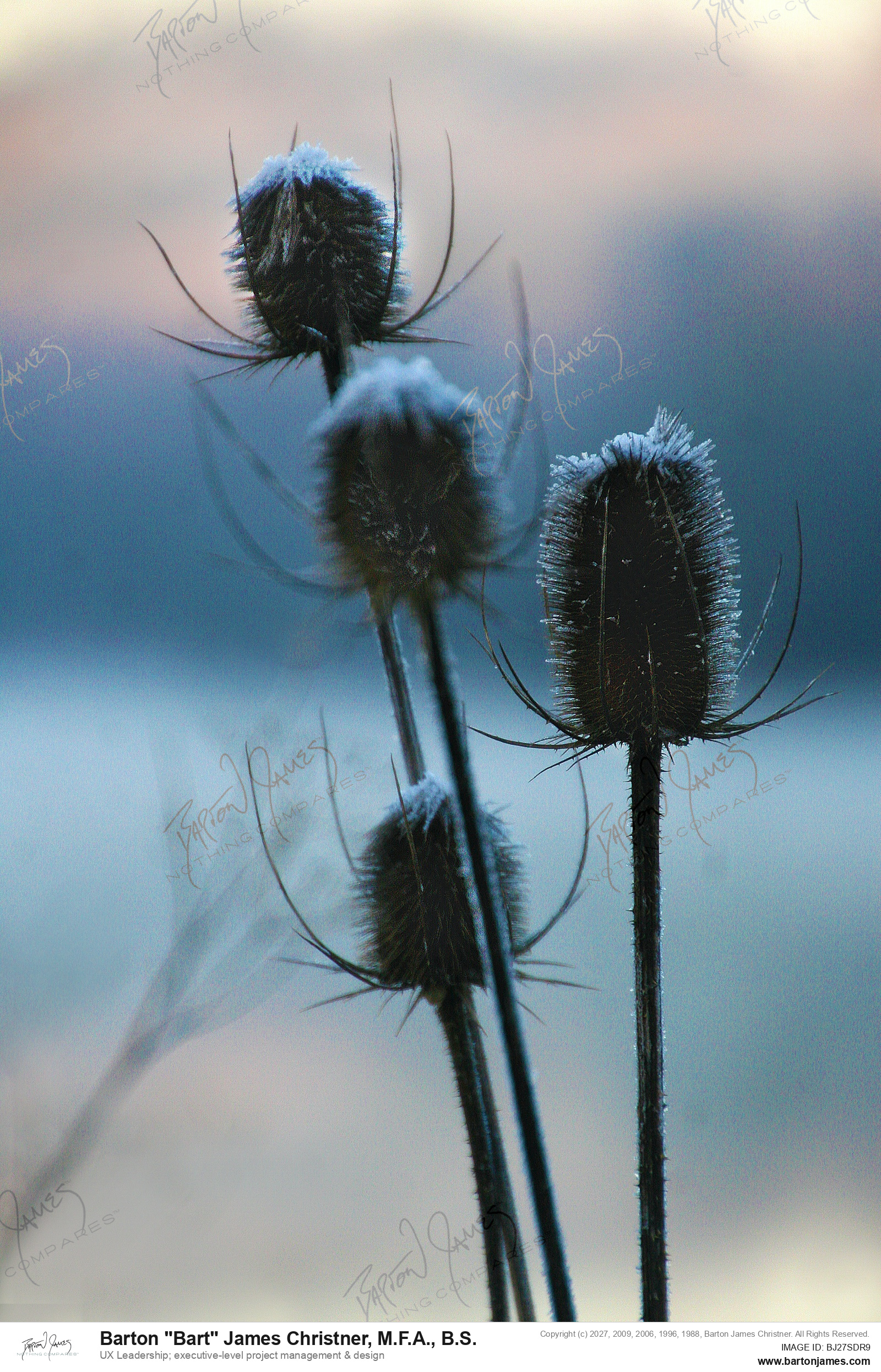 20121213 LANDSCAPE Resevior Hoarfrost Sunshine Washingon Pennsylvania IMG5905 PHOTO