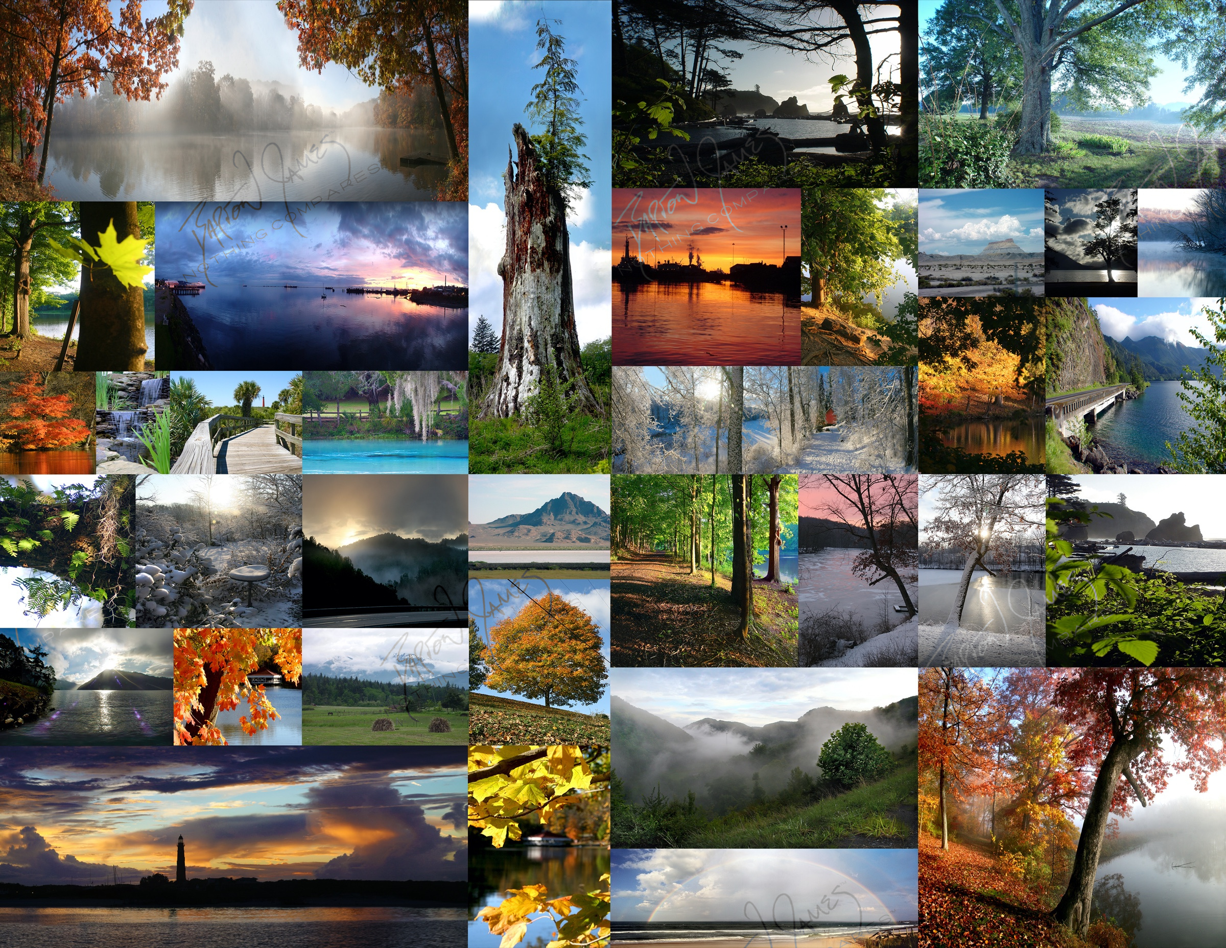 D1 Landscape: a collage of the work in this chapter