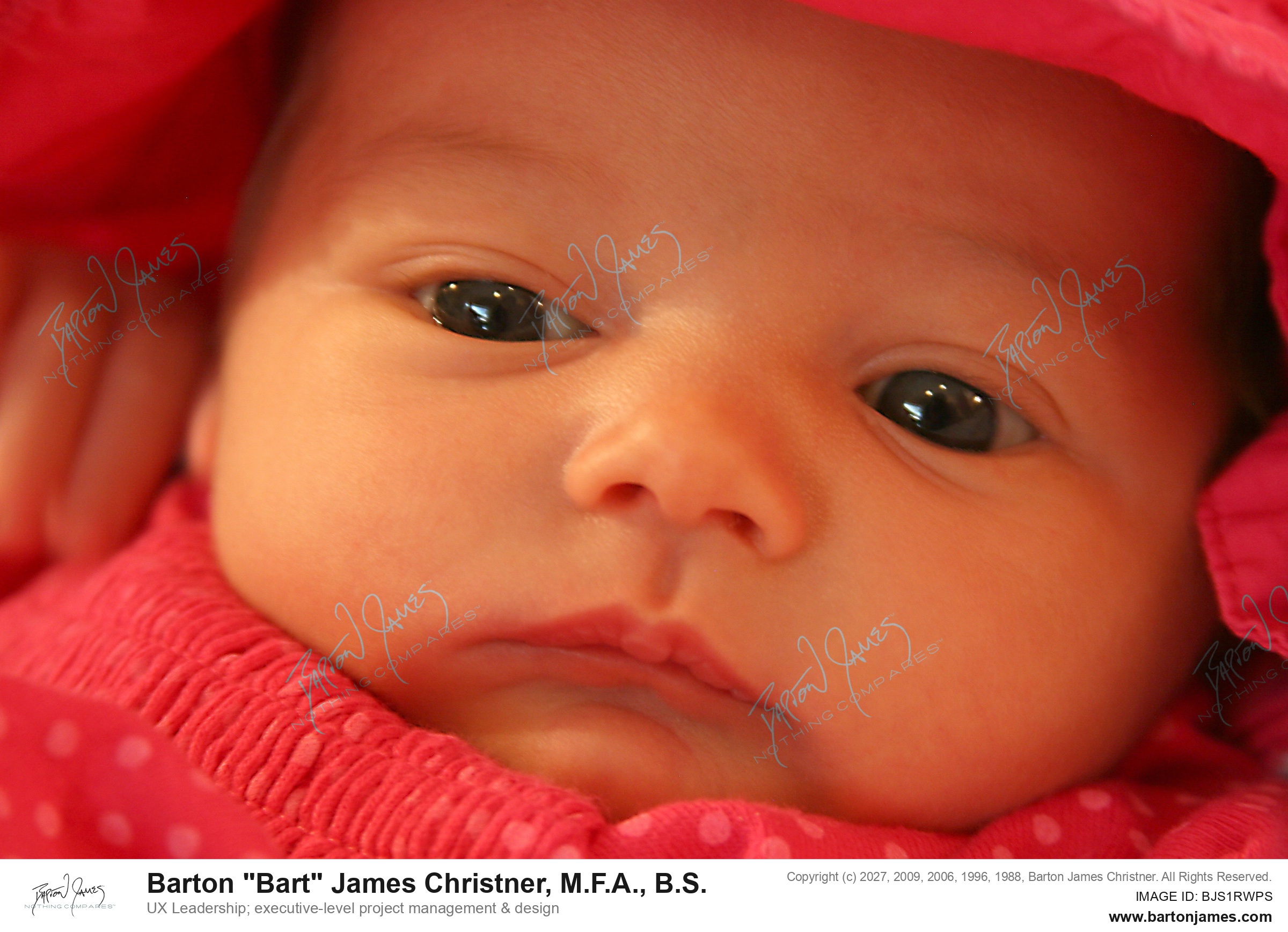 20110610 INFANT Port Orange Bullavko Sally Matt Stella Sadie IMG4571 PHOTO