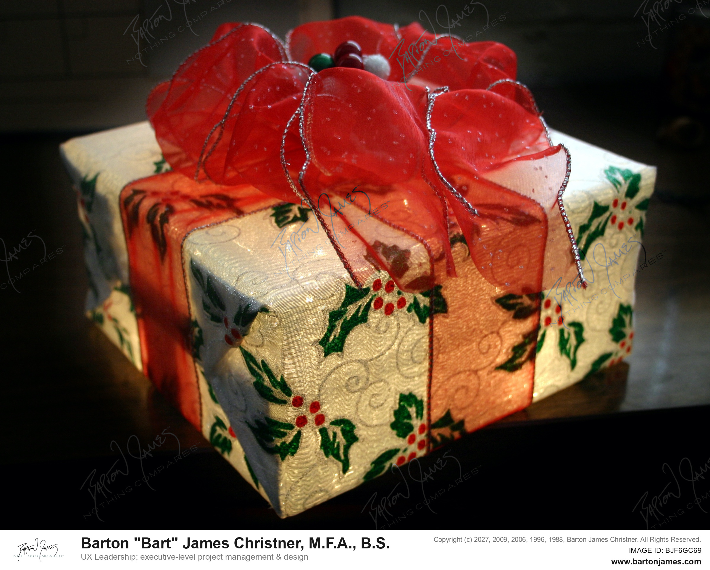 20050801 G4P5 Holiday Gallery item PHOTO