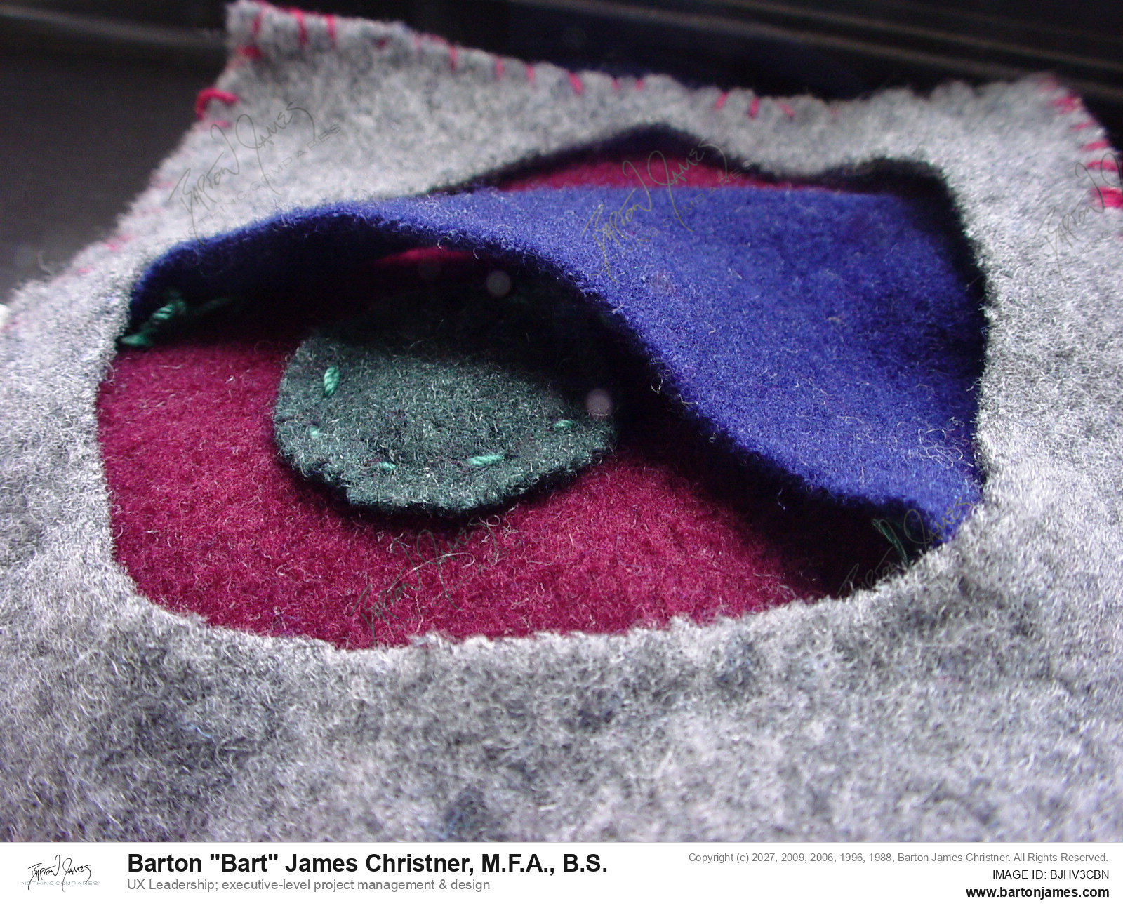 20040528 FINEART Felt All Seeing Eye PHOTO