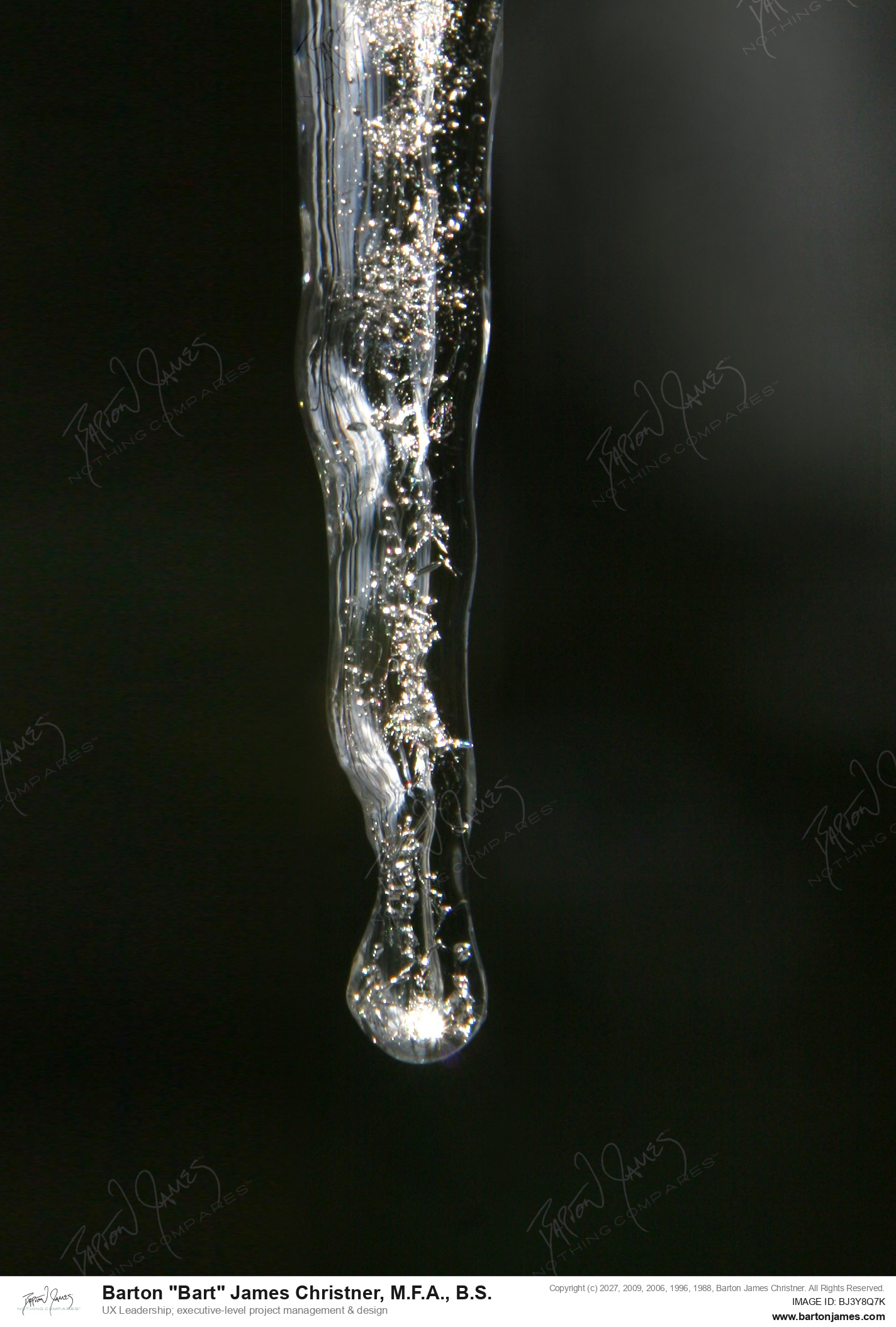 20130206 LANDSCAPE CDAIcicles On Cabin PHOTO