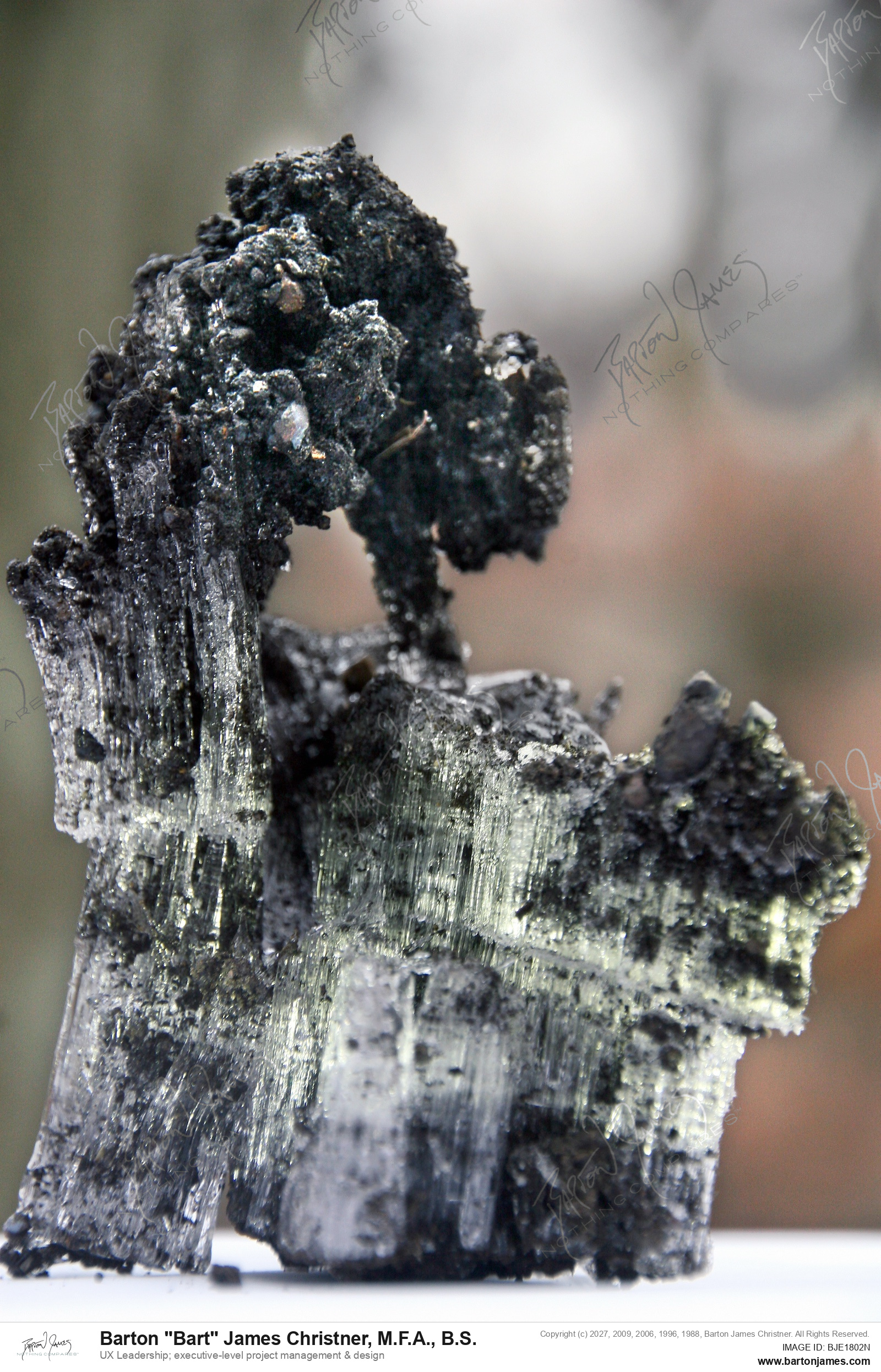 20150206 SCIENTIFIC IMG 8087 PHOTO