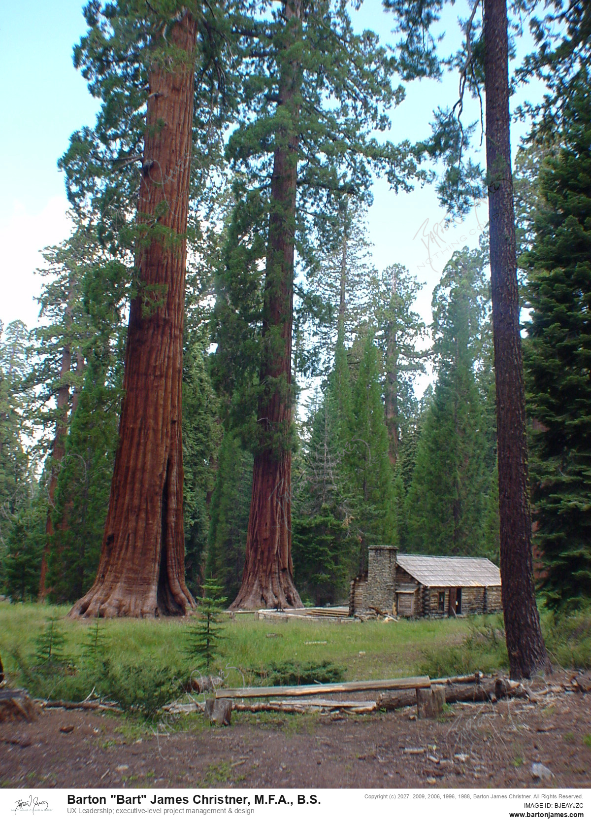 20030428 TRAVEL USTrip US22Yosemite DSC05896 PHOTO