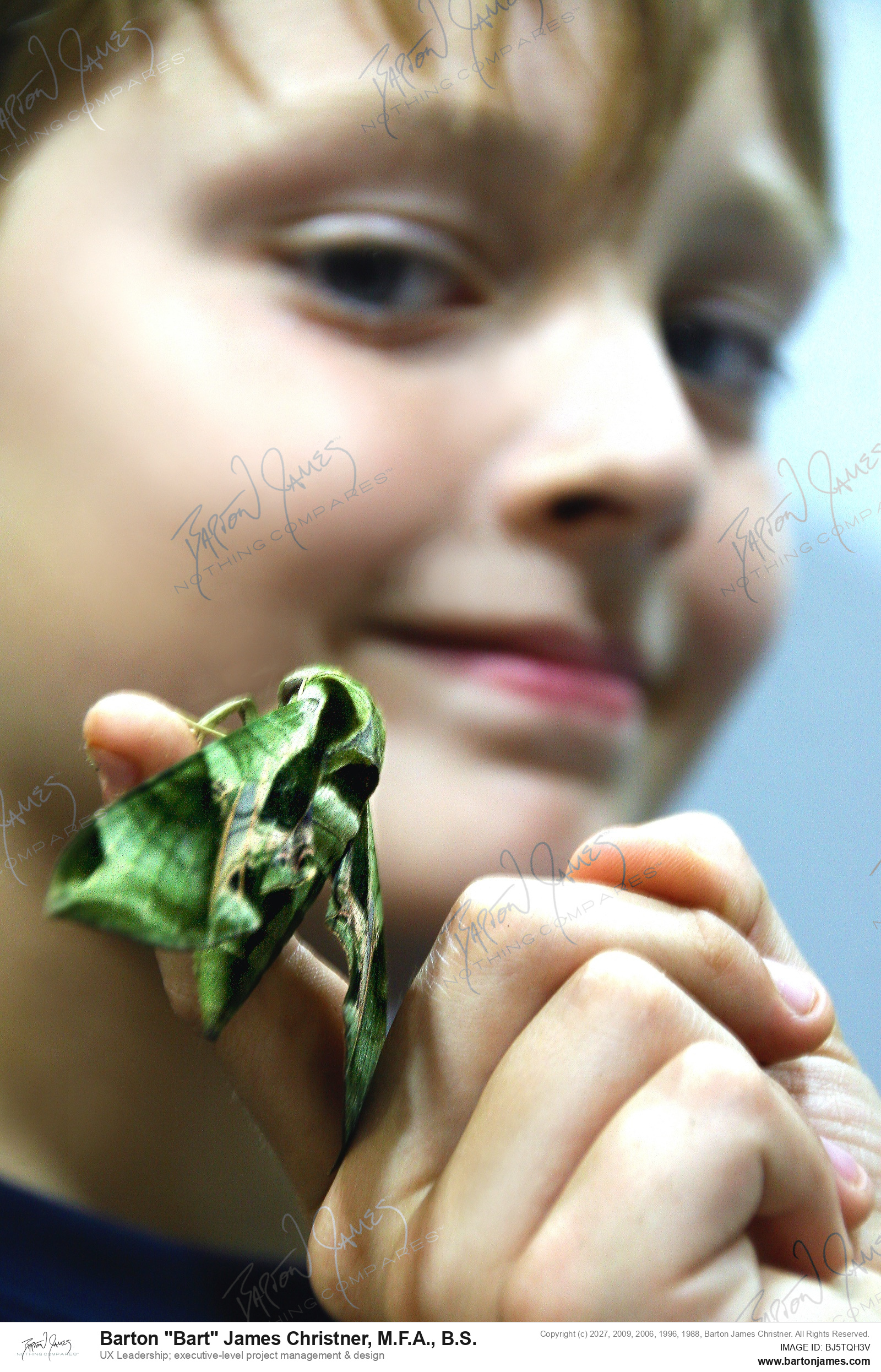 20120709 TRAVEL Nantahela Bug On Finger Gas Station Night Luke PHOTO