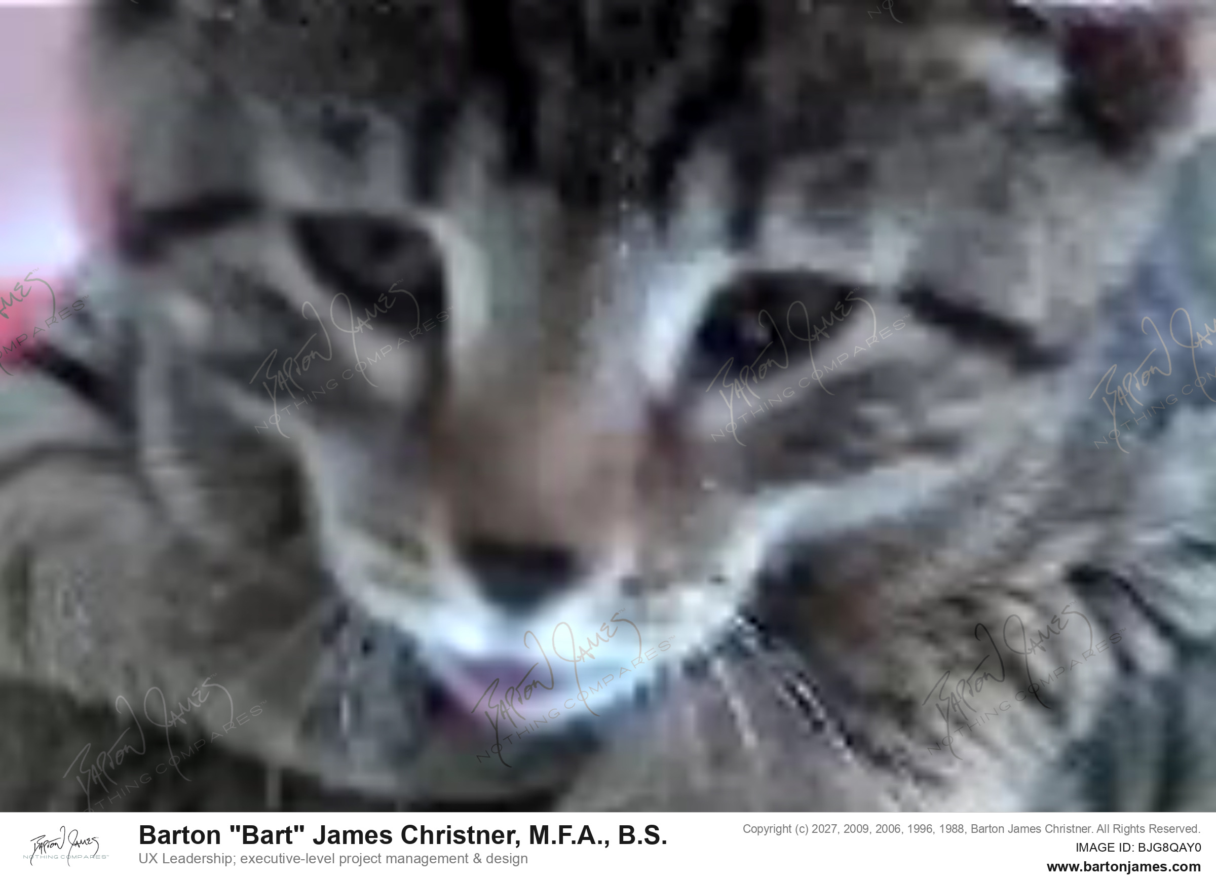 20011106 EDWARDS ME Kitten Kommmotion BROADCAST