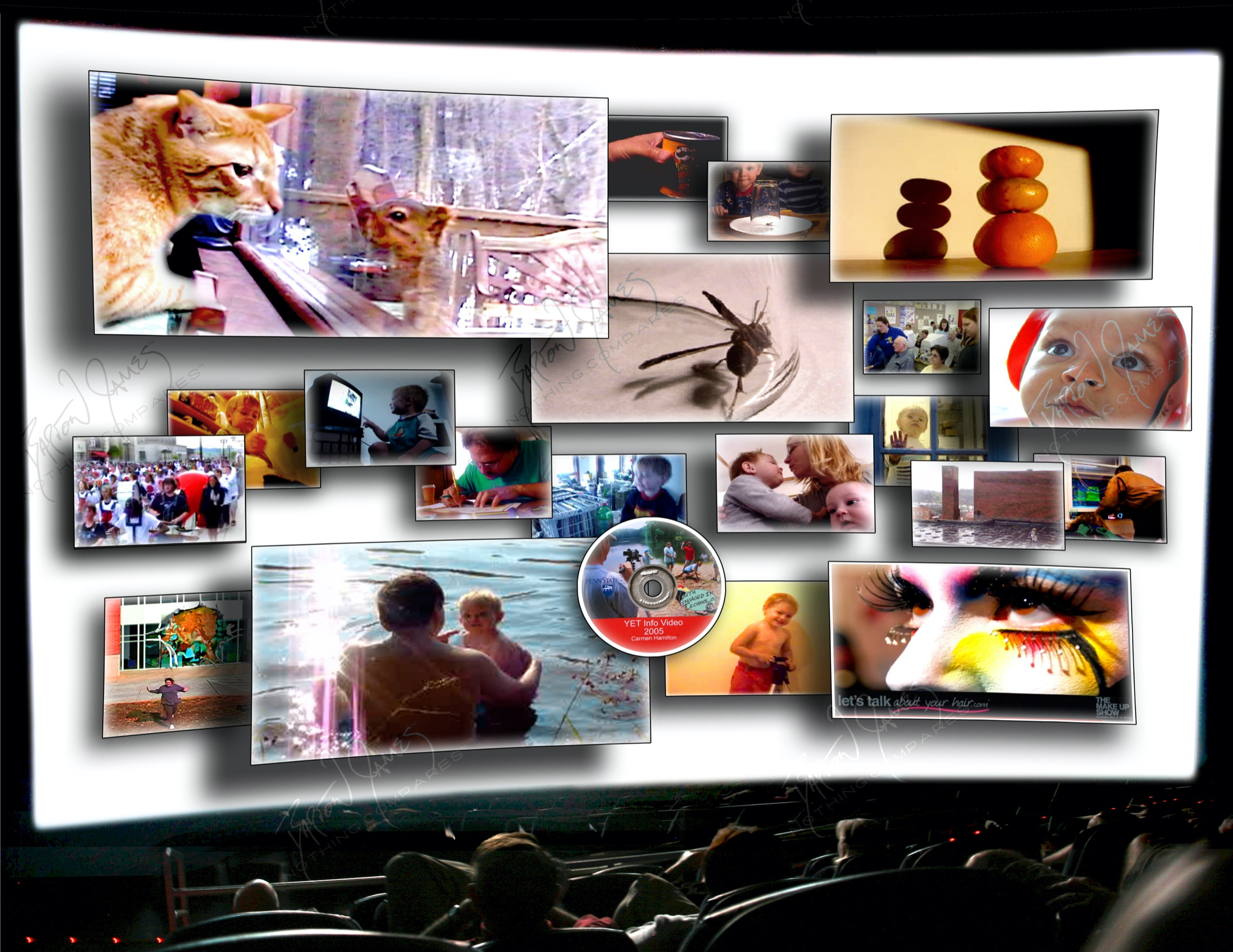 D5 Cinema: a collage of the work in this chapter