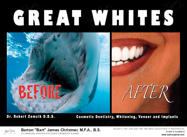 20080214 ZEMCIK Great Whites COLLATERAL