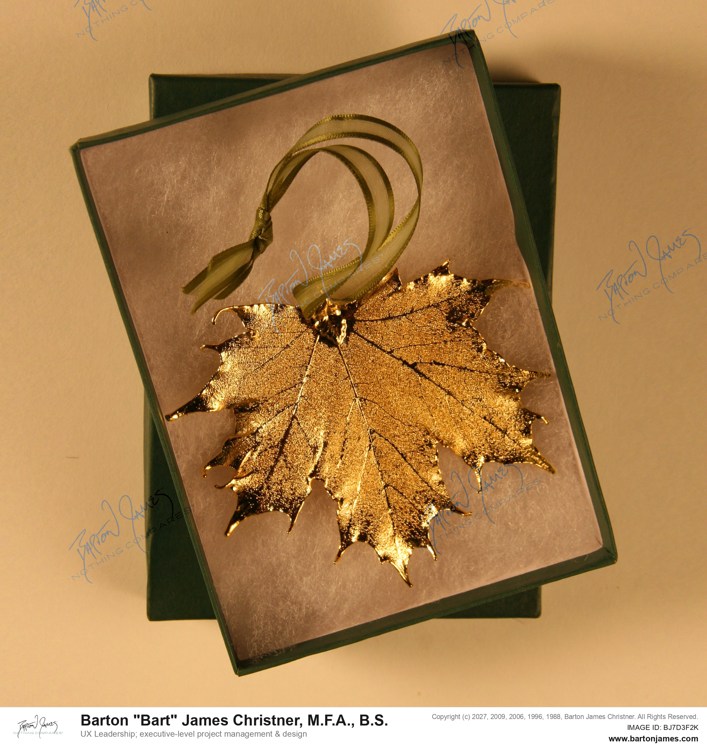 20090918 LINTON Ornament And Box PACKAGING